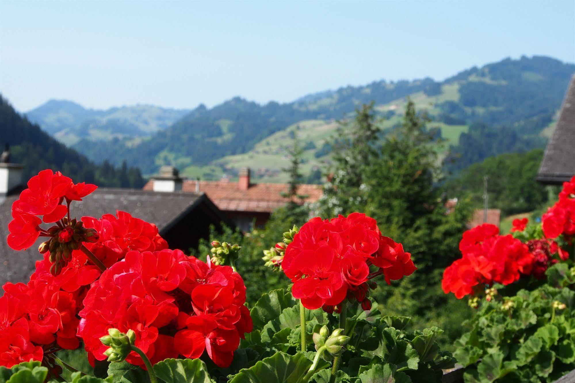 Hotel Simmental Boltigen Buitenkant foto